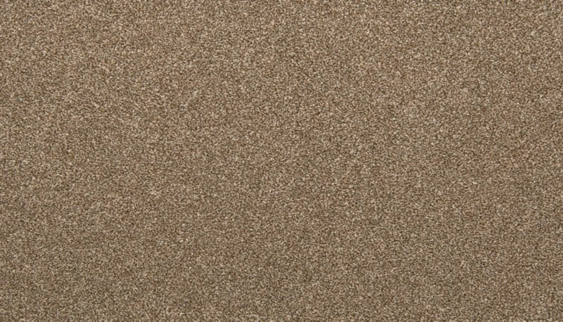 Mohawk Flooring Dynamic Quality I