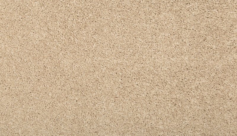 Mohawk Flooring Vitalize I
