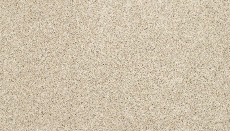 Mohawk Flooring Furocious I