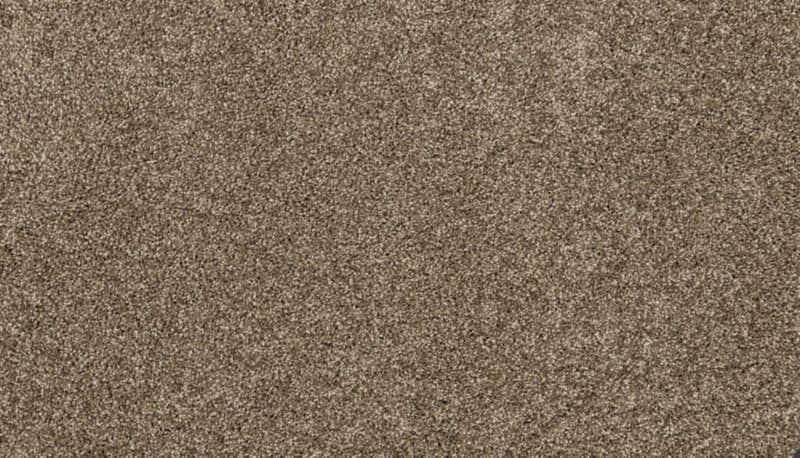 Mohawk Flooring Furocious I