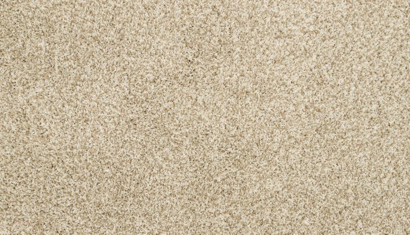Mohawk Flooring Furocious III