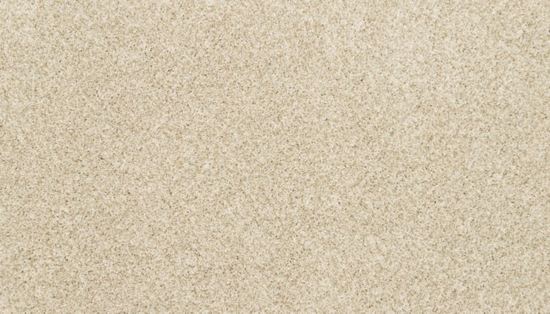 Mohawk Flooring Bon A Pet Treat I