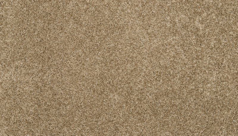 Mohawk Flooring Bon A Pet Treat I