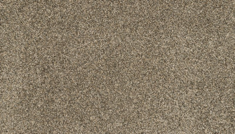Mohawk Flooring Claws And Effect I
