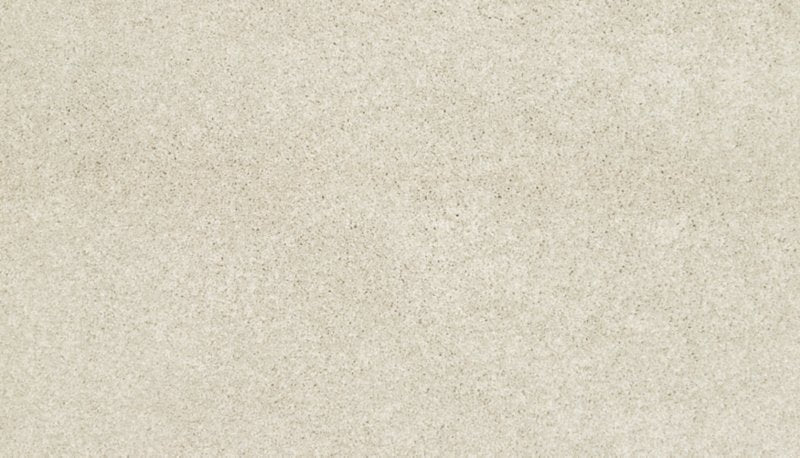Mohawk Flooring Bon A Pet Treat I