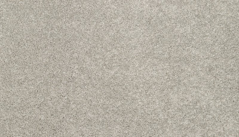 Mohawk Flooring Bon A Pet Treat I