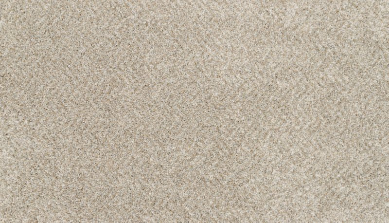 Mohawk Flooring Bon A Pet Treat I