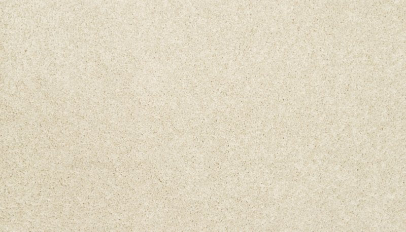 Mohawk Flooring Bon A Pet Treat II