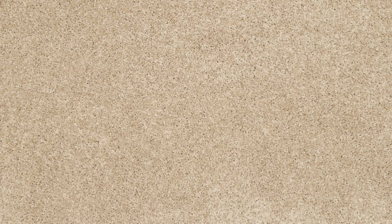 Mohawk Flooring Bon A Pet Treat II
