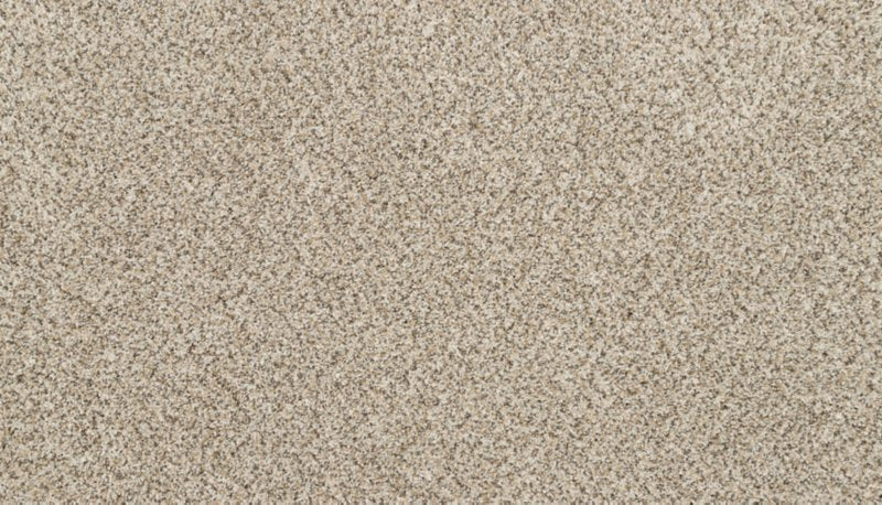Mohawk Flooring Bon A Pet Treat II