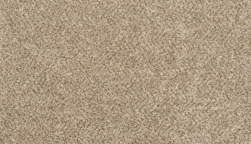 Mohawk Flooring Bon A Pet Treat II