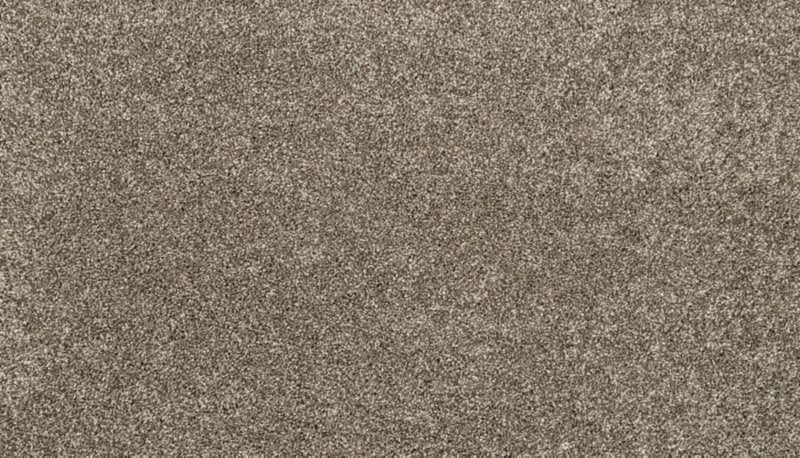 Mohawk Flooring Bon A Pet Treat II