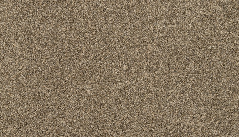 Mohawk Flooring Raise The Woof I