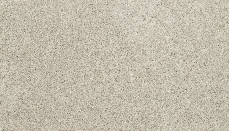Mohawk Flooring Raise The Woof I