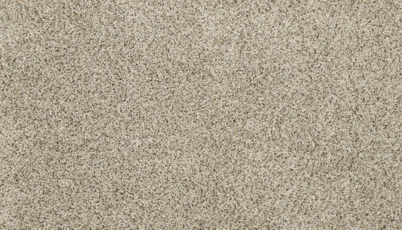 Mohawk Flooring Raise The Woof I