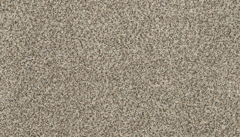 Mohawk Flooring Raise The Woof I