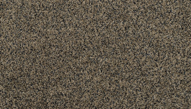 Mohawk Flooring Purrsonality I