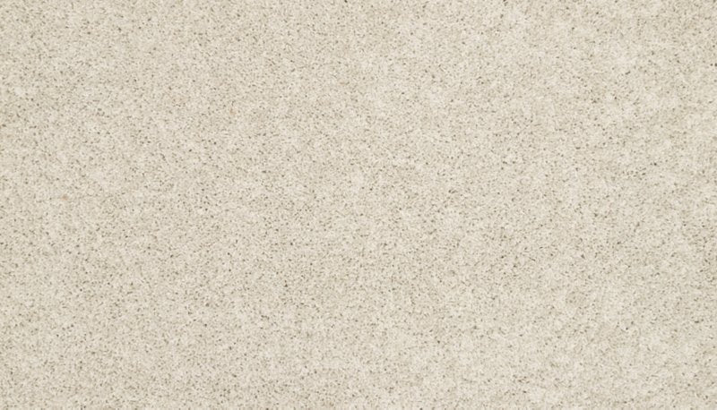 Mohawk Flooring Purrsonality I