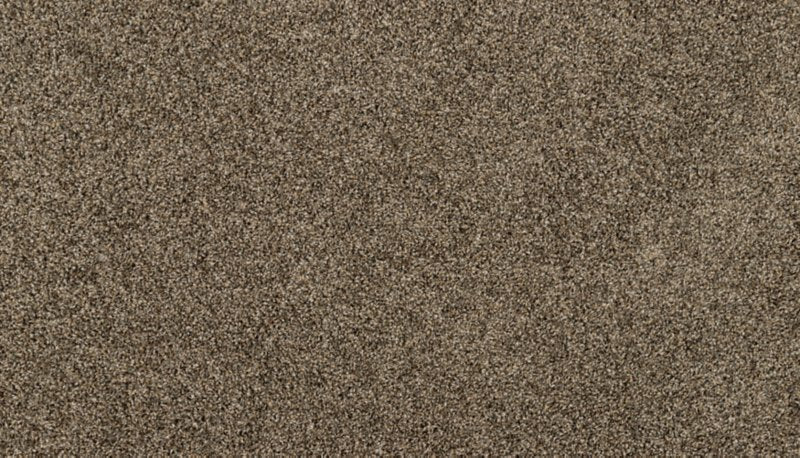 Mohawk Flooring Purrsonality I