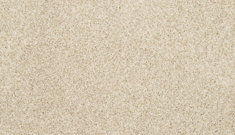 Mohawk Flooring Raise The Woof II