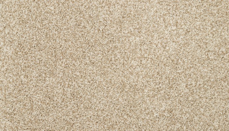 Mohawk Flooring Raise The Woof II