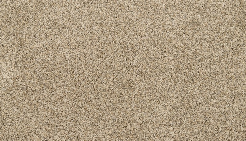 Mohawk Flooring Raise The Woof II