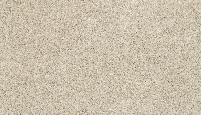 Mohawk Flooring Raise The Woof II