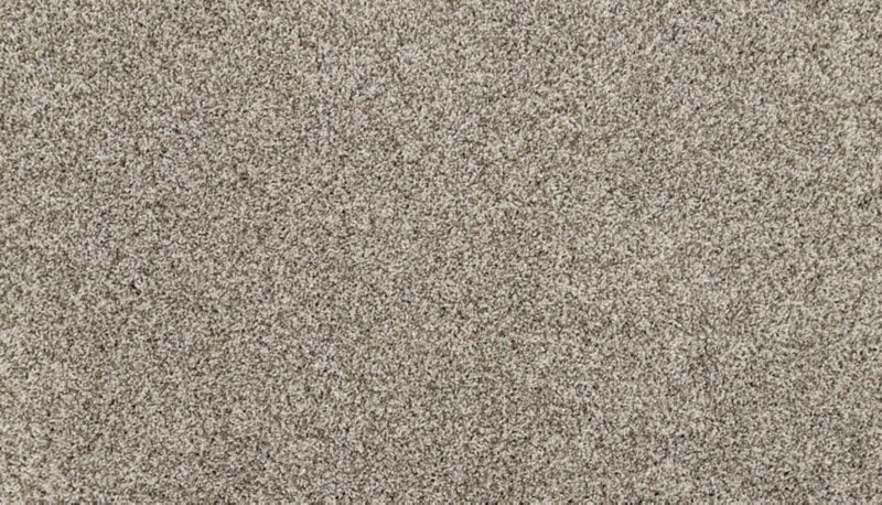 Mohawk Flooring Raise The Woof II