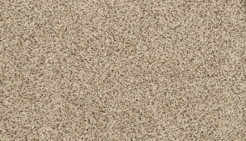 Mohawk Flooring Purrsonality II
