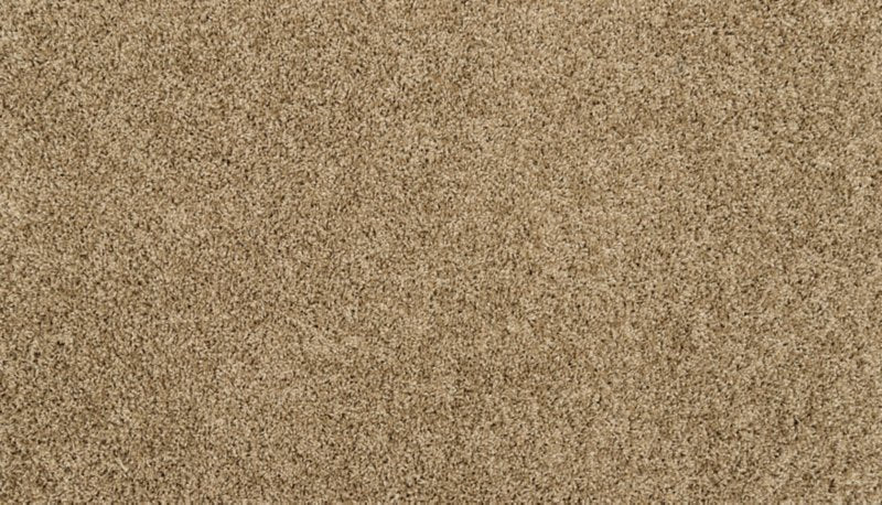 Mohawk Flooring Purrsonality II