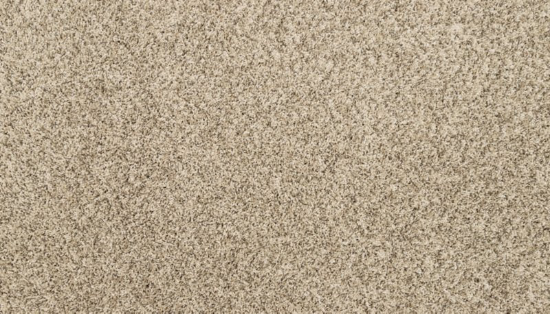 Mohawk Flooring Purrsonality II