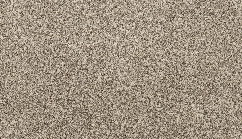 Mohawk Flooring Purrsonality II