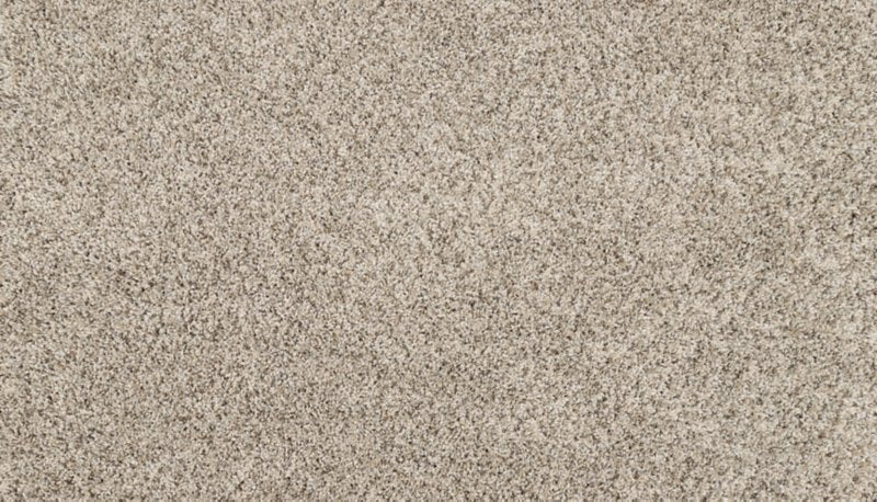 Mohawk Flooring Purrsonality II