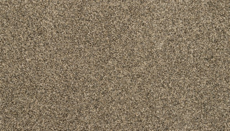 Mohawk Flooring Purrsonality III