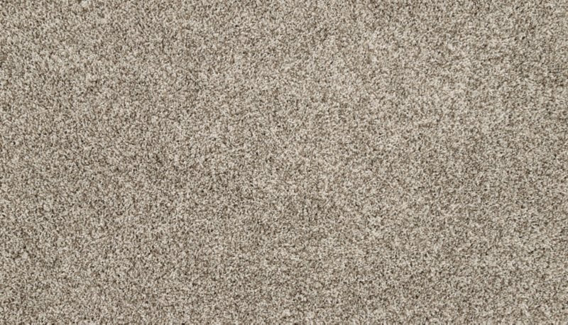 Mohawk Flooring Purrsonality III