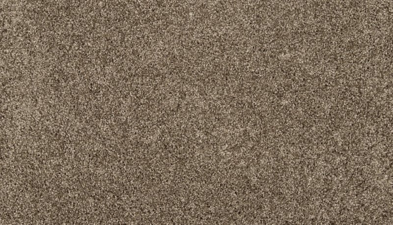 Mohawk Flooring Purrsonality III