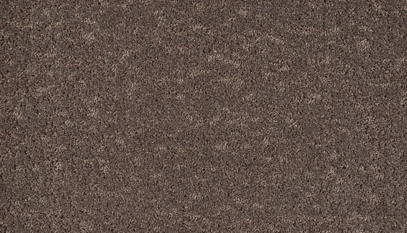 Mohawk Flooring Mineral Earth