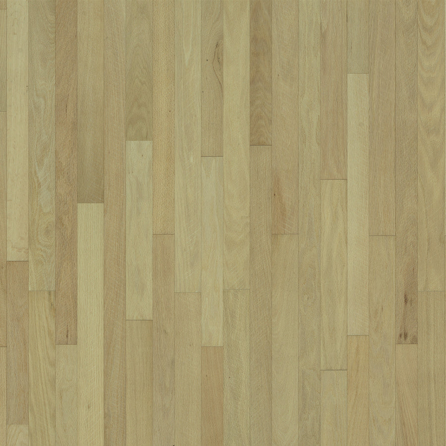 Organic Solid Rue Oak