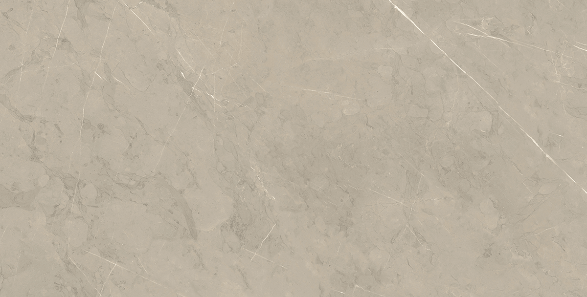 Roca Tile - Piasentina Silver Up 12 x 24 R Tile