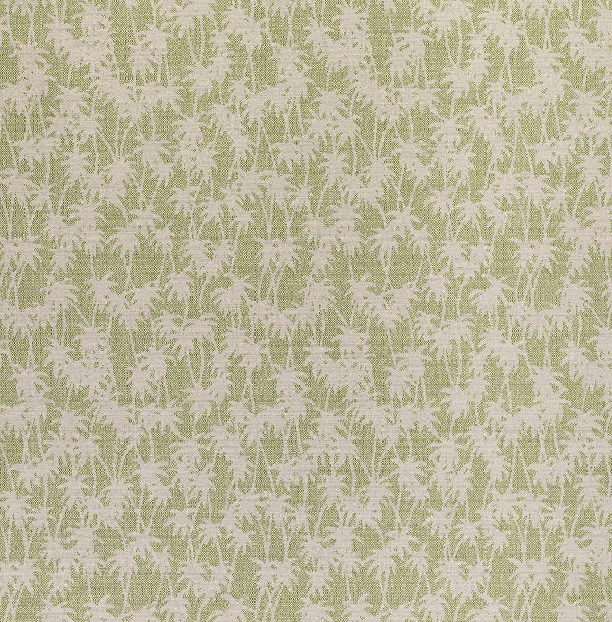 Palm Imprint Palm