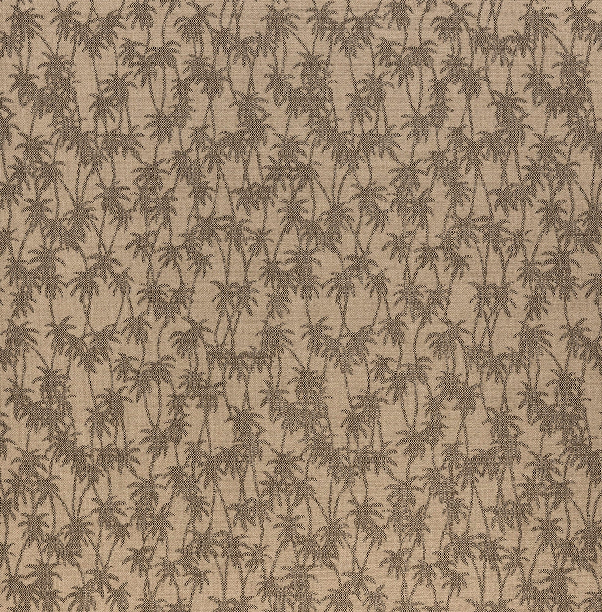 Palm Imprint Terra