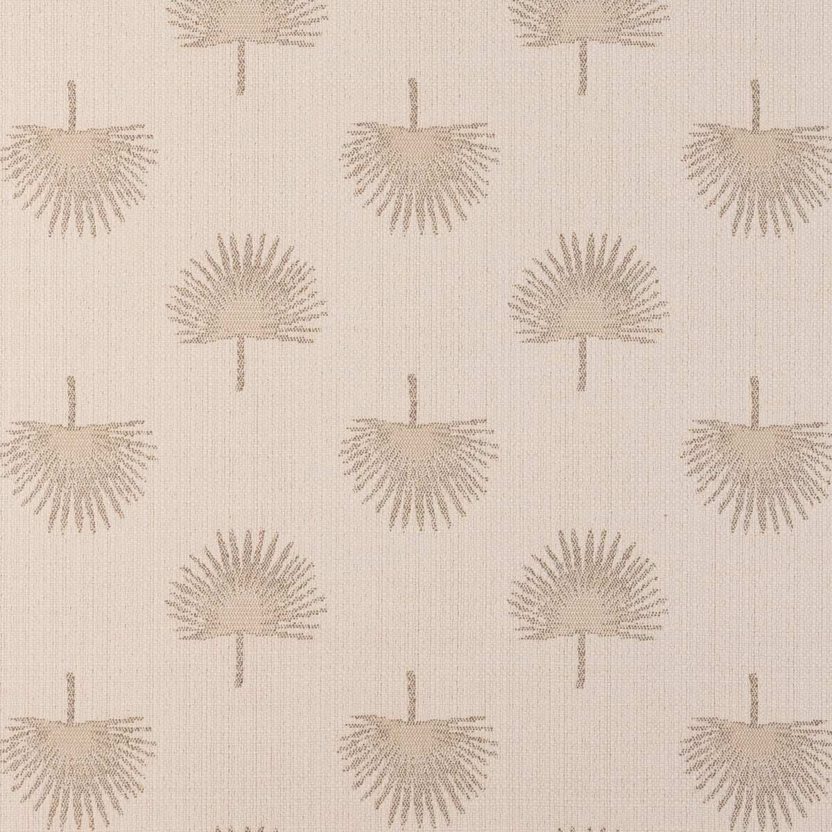 Palmetto Leaf Dune
