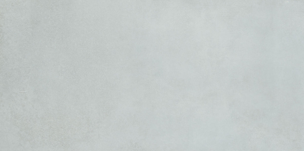 Roca Tile - Pro PO 24 x 48 R Tile