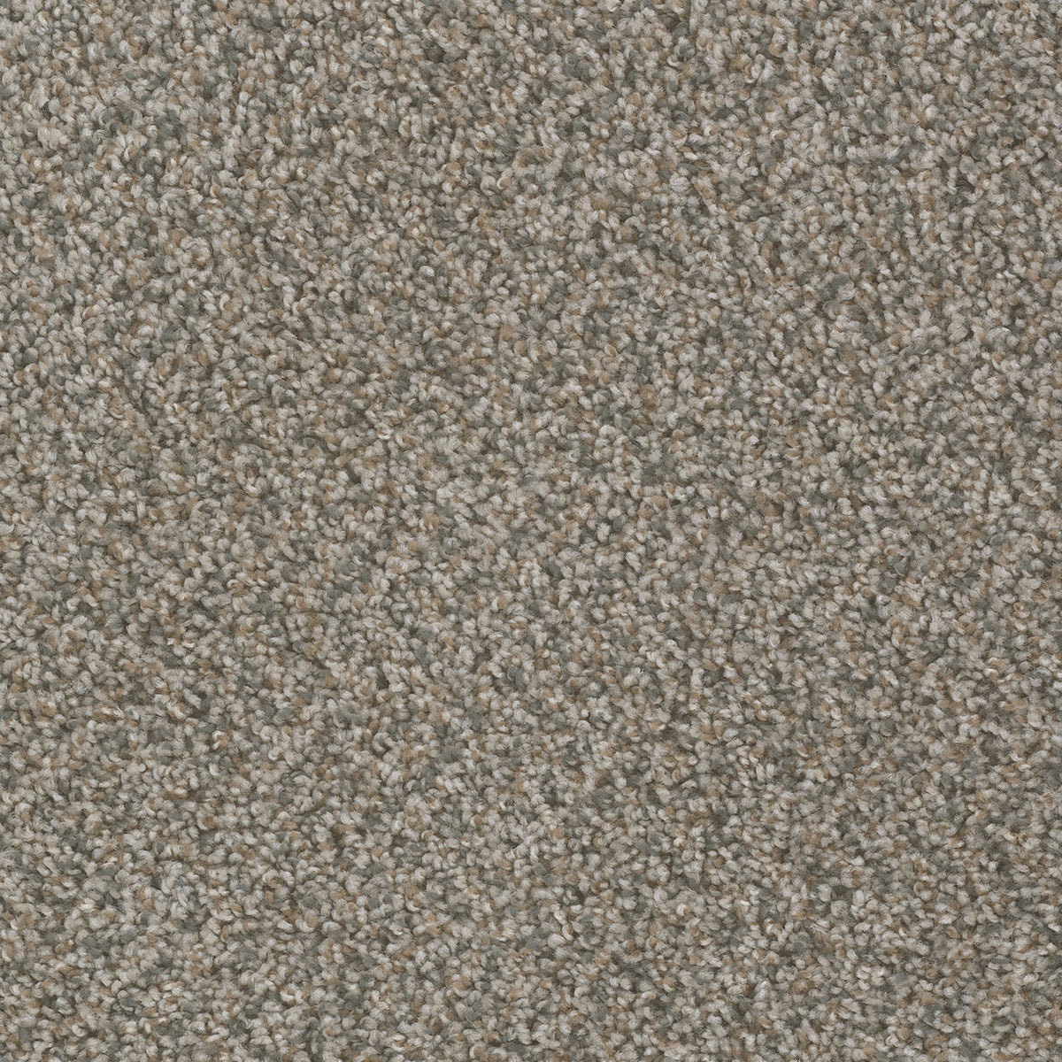 SP250 - Shoreline