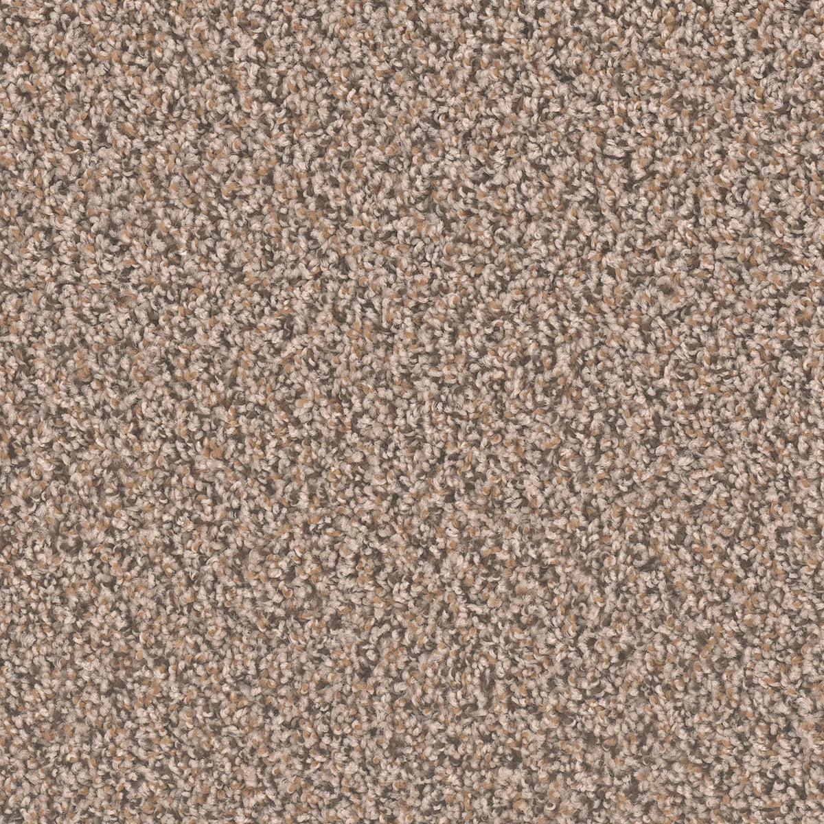 SP250 - Gingerbread