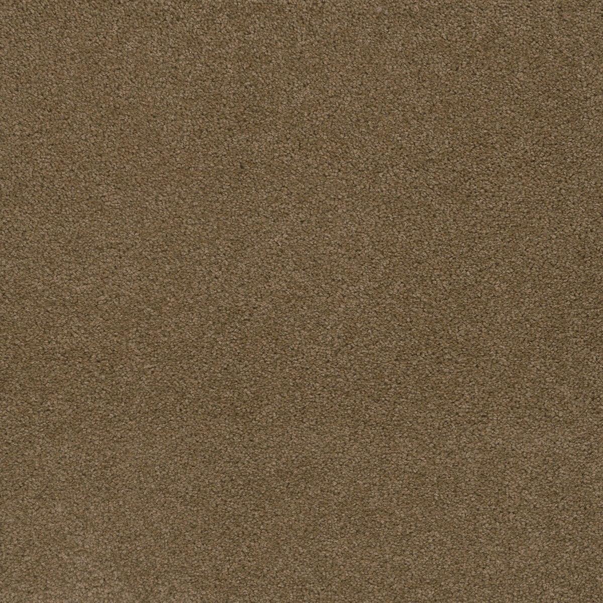 SP250 - Honey Beige
