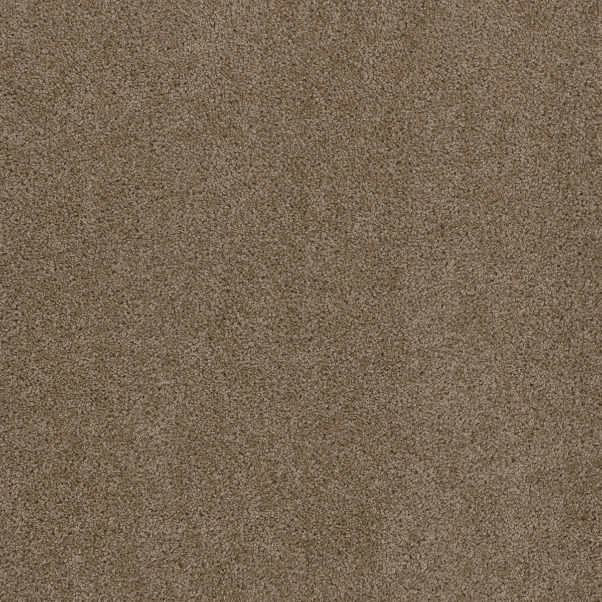SP250 - Doeskin