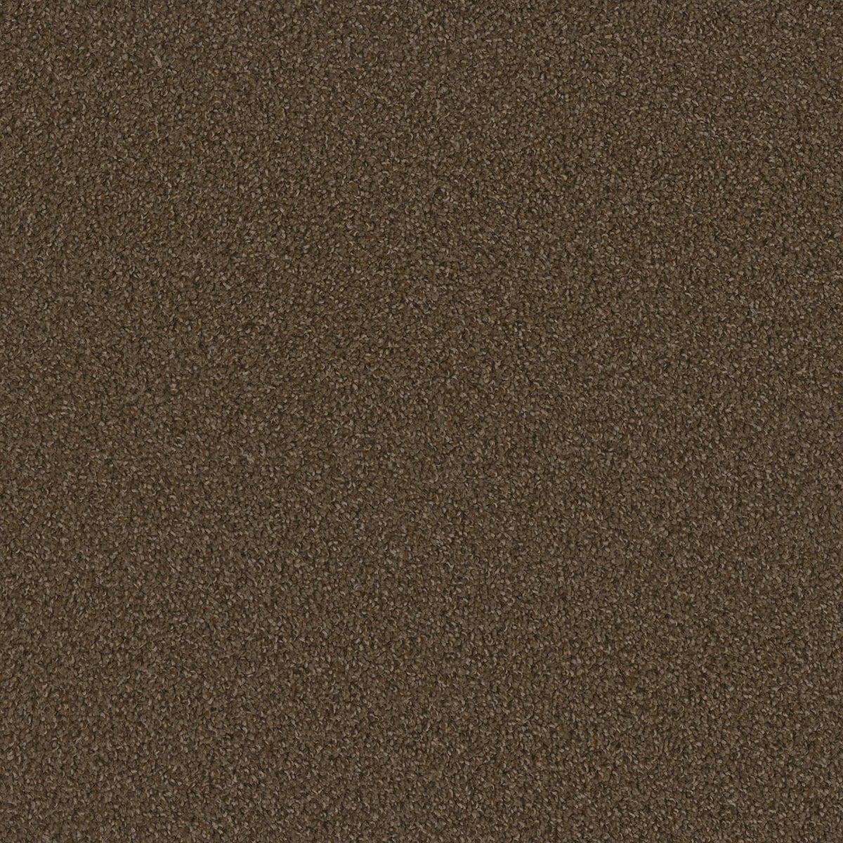 SP250 - Boulder