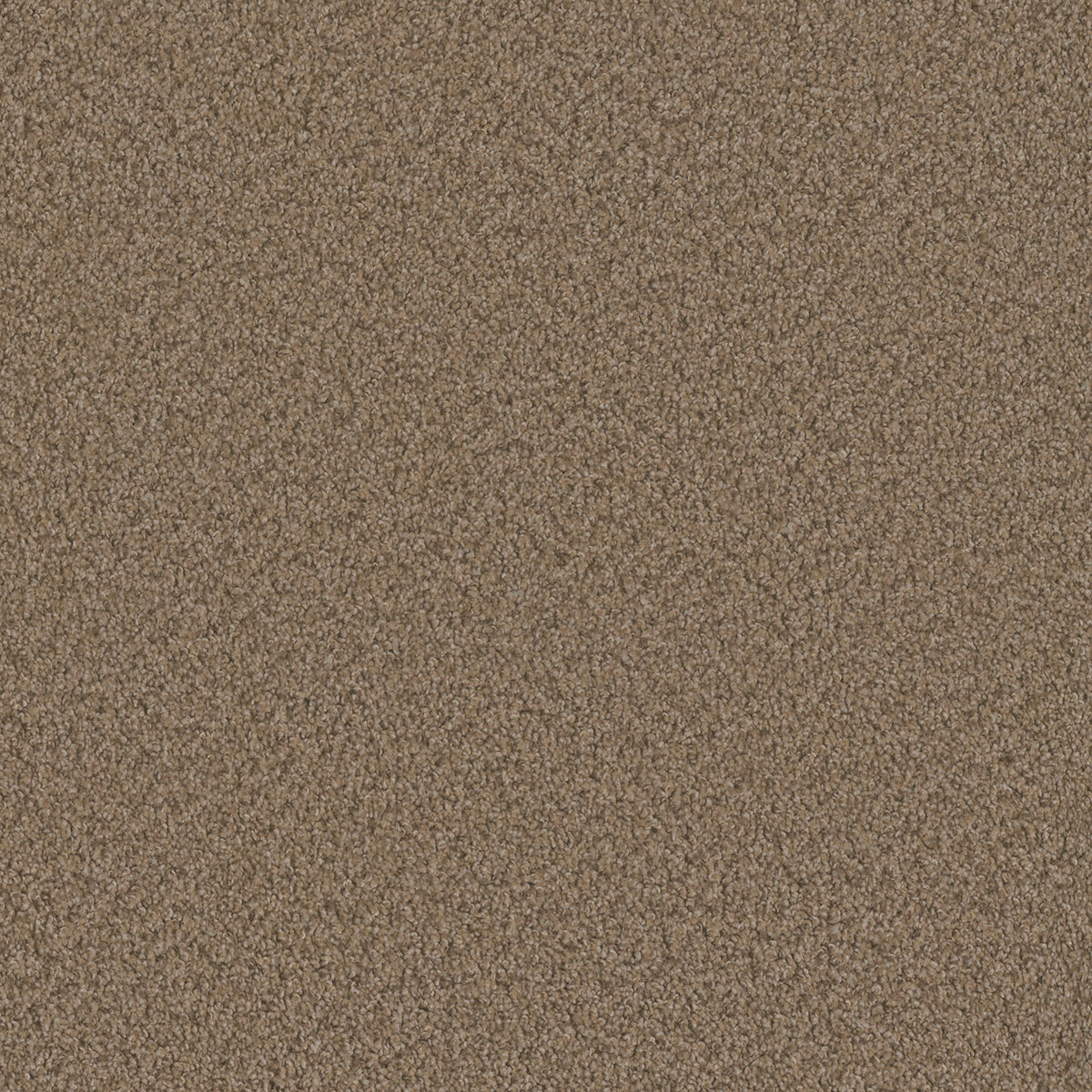 SP250 - Claystone
