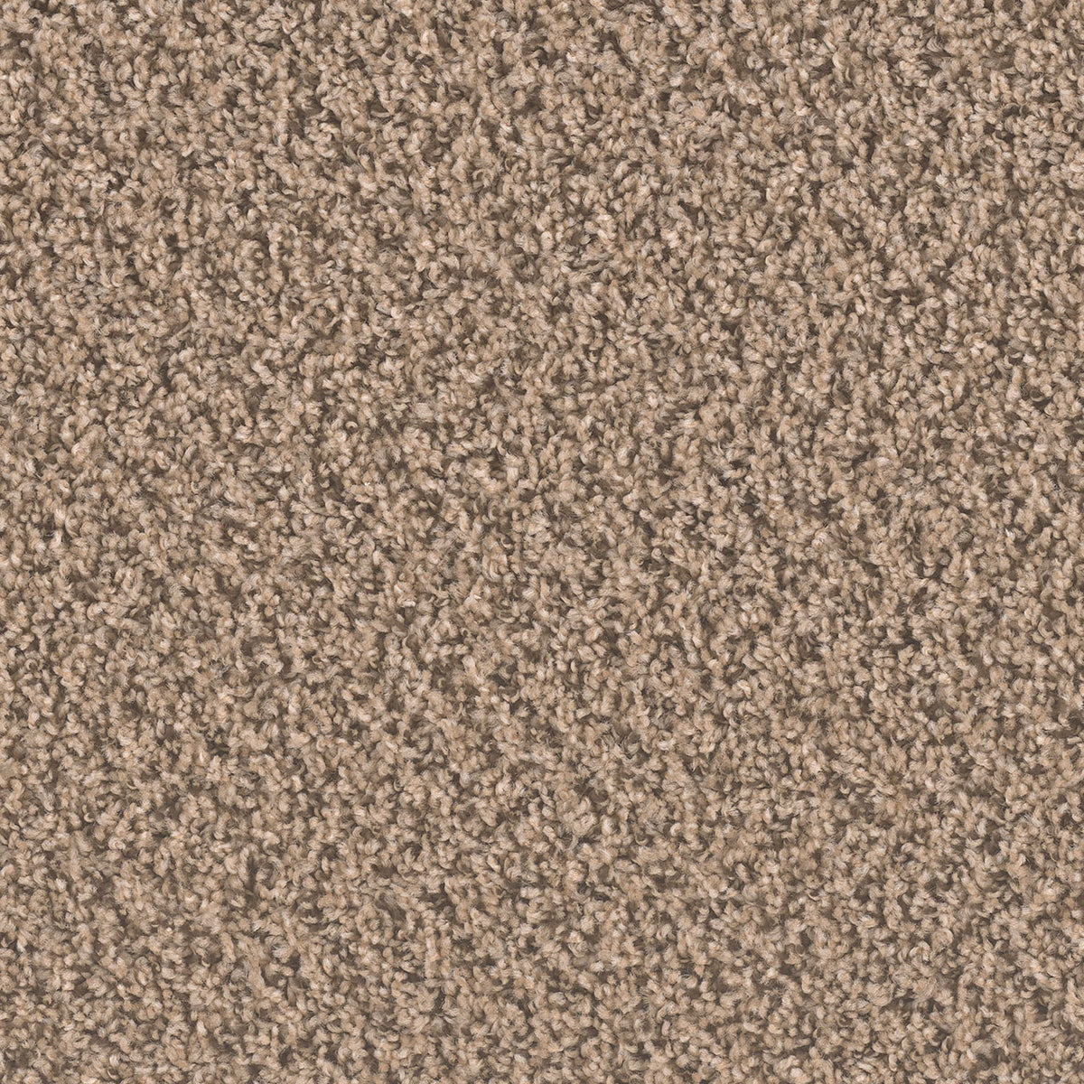 SP250 - Fossil